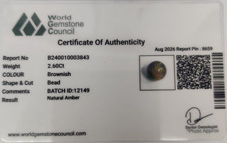 Amber lab certificate 10